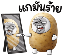 ลายที่ 9