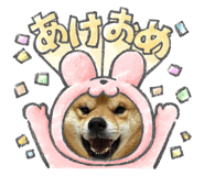832716293
