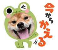 832716296