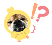 832716298