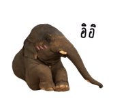 832753777