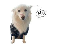 832753788