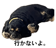 832757292