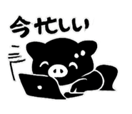 832790554