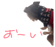 832799557