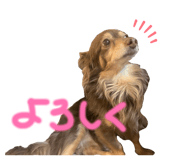 832799561