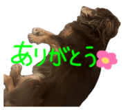 832799562