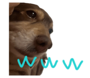 832799564