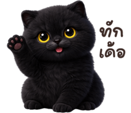 ลายที่ 1