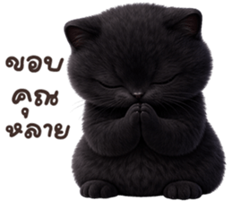 ลายที่ 3