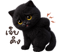 ลายที่ 9