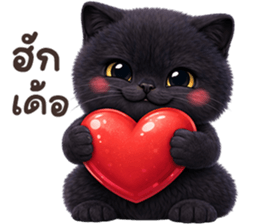 ลายที่ 13