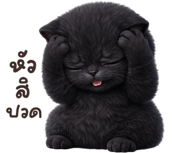 ลายที่ 19