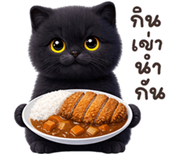 ลายที่ 23