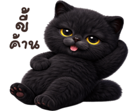 ลายที่ 33