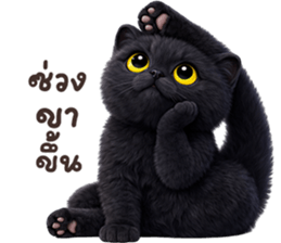 ลายที่ 41