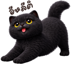 ลายที่ 43