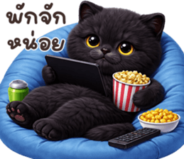 ลายที่ 45