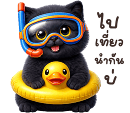 ลายที่ 47