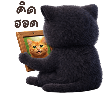 ลายที่ 25