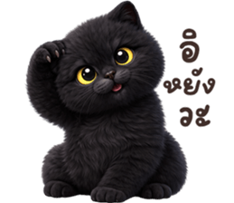 ลายที่ 51