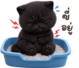 ลายที่ 65