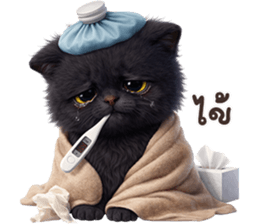 ลายที่ 67