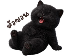 ลายที่ 69