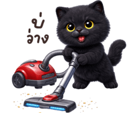 ลายที่ 71