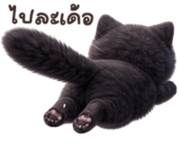 ลายที่ 73