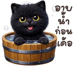 ลายที่ 75