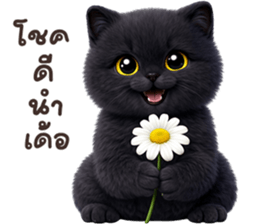 ลายที่ 77