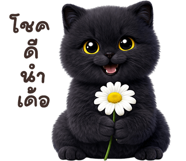 ลายที่ 39