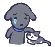 832803734