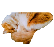 832818042