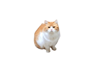 832818043