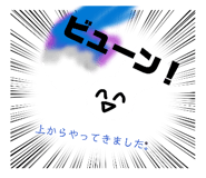 832824675