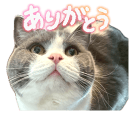 832827573