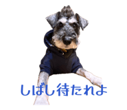 832833502
