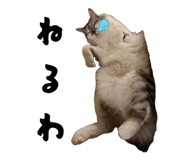 832835916