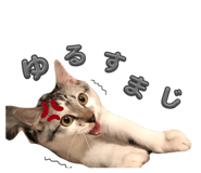 832835921