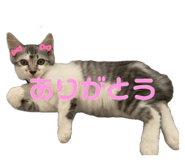 832835923