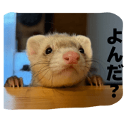 832840913