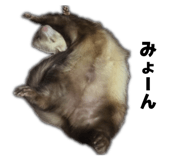 832840914