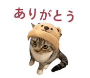 832843669