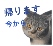 832843670