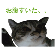 832843676