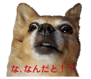 832844041