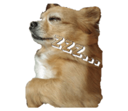 832844042
