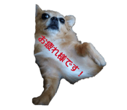 832844044
